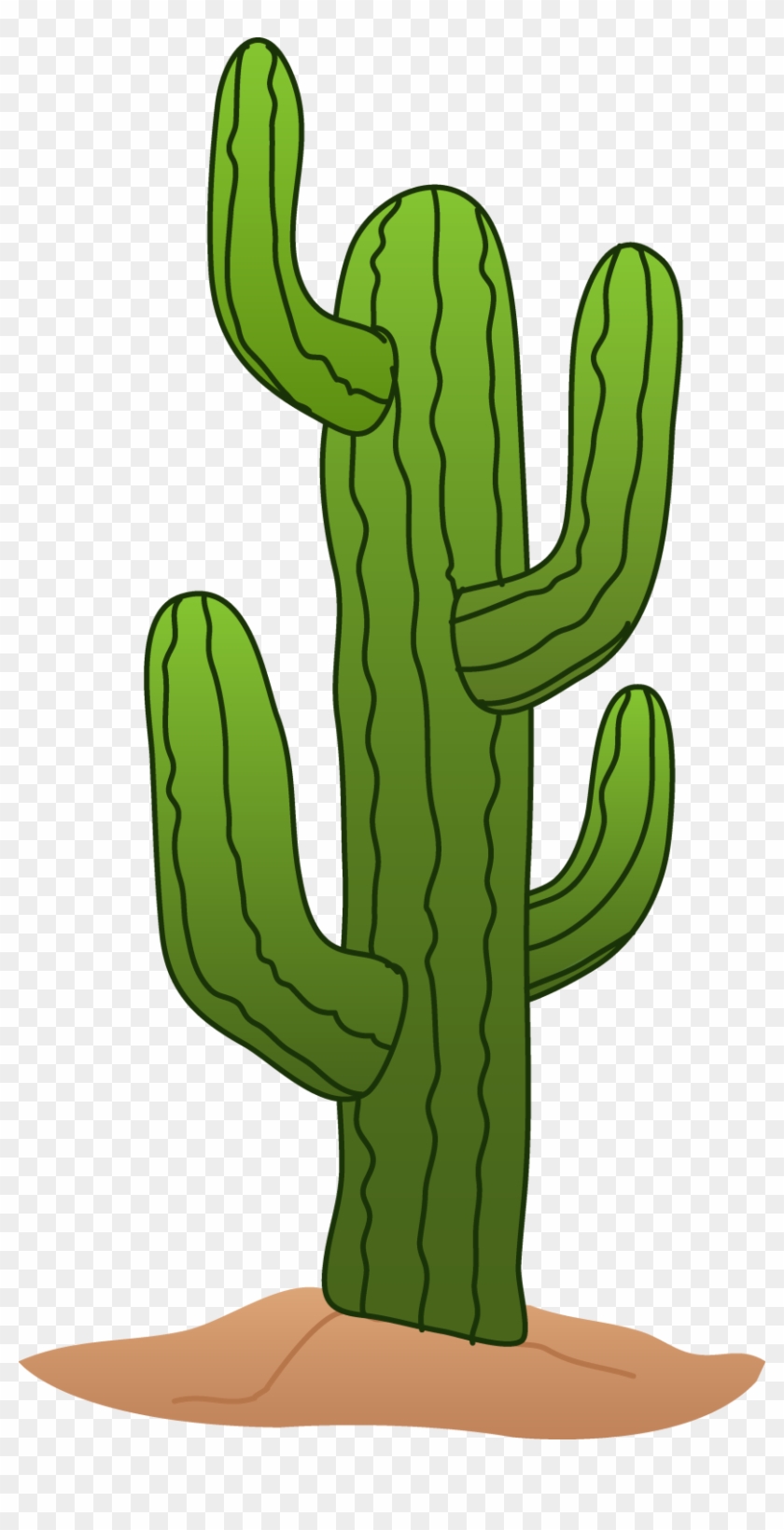cactus clipart clear background