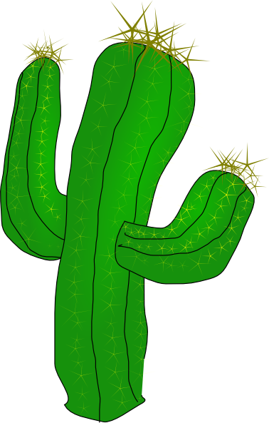 cactus clipart colorful