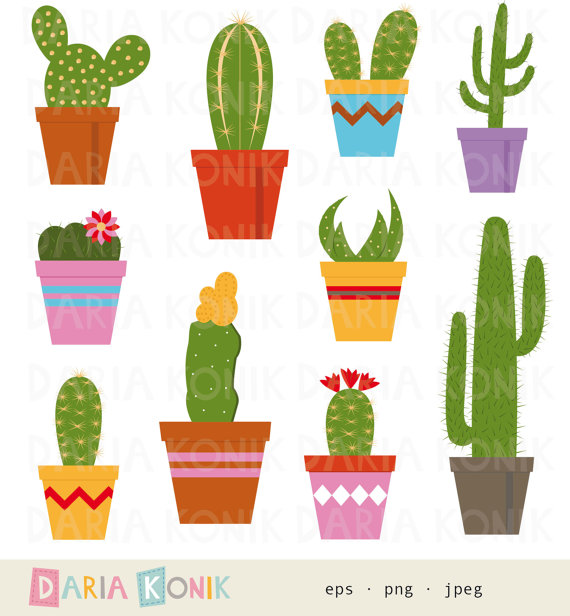 cactus clipart colorful