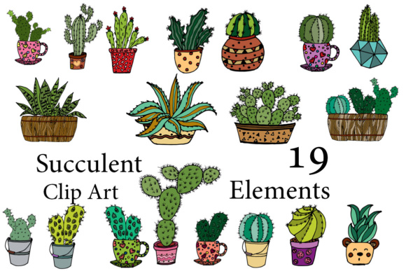 succulent clipart clip art