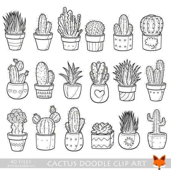 cactus clipart doodle