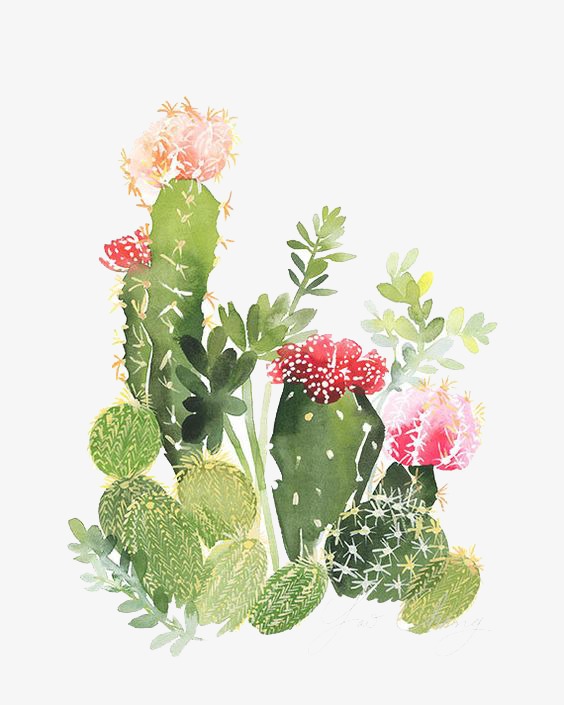 cactus clipart floral