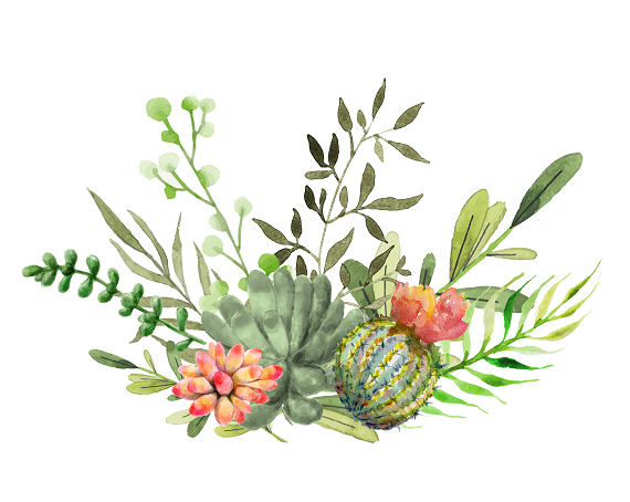 Cactus clipart floral, Cactus floral Transparent FREE for download on