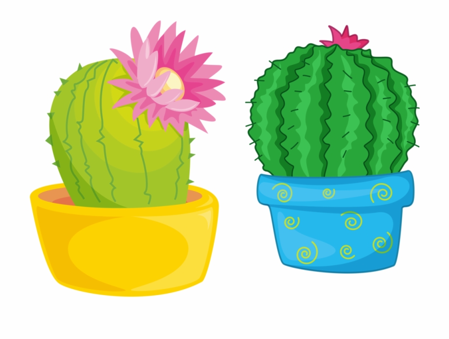 Cactus clipart flower.  illustration classroom themes