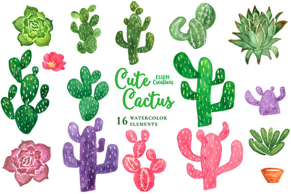 Cactus clipart flower. Succulent watercolor cute baby