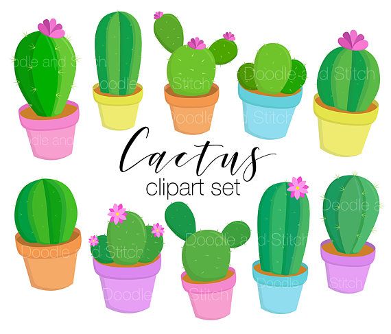 Set cute cacti illustrations. Cactus clipart flower