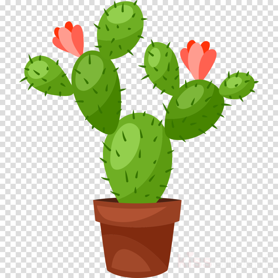 Cactus clipart flower. Cartoon illustration 