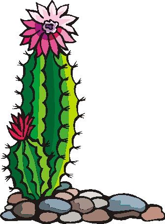 Cactus clipart flower. Gallery for image drawing