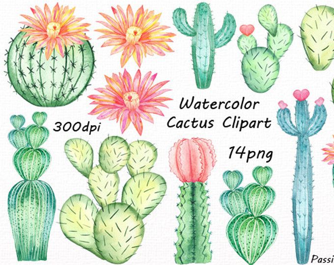 Cactus clipart fun. Funny in pots hand