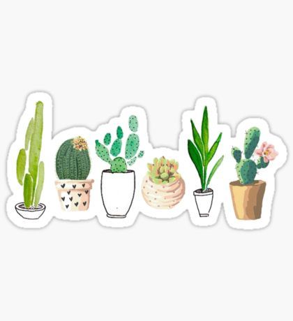 cactus clipart hipster