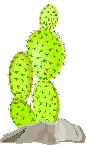 cactus clipart nopal