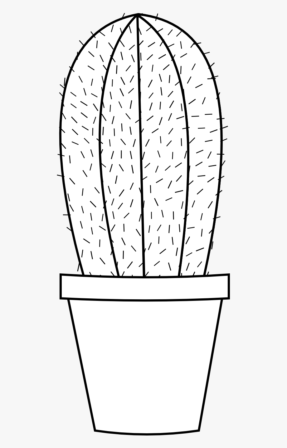 Cactus clipart outline, Cactus outline Transparent FREE for download on