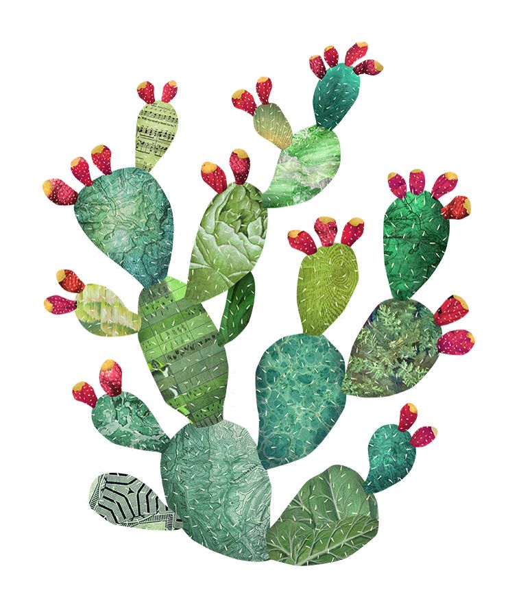 cactus clipart prickly pear