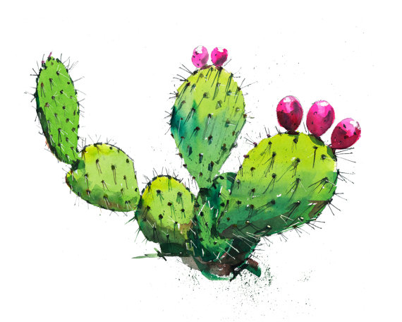 Cactus clipart prickly pear. 