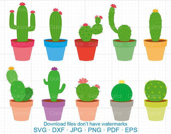 Cactus clipart simple, Cactus simple Transparent FREE for download on