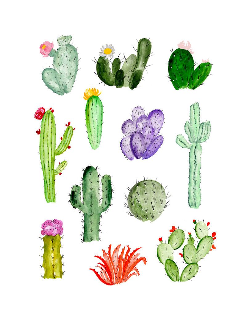 cactus clipart simple