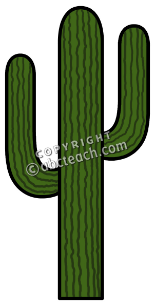 Cactus simple