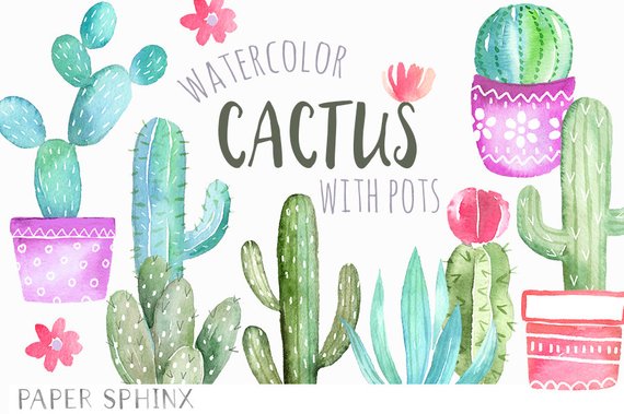 cactus clipart single