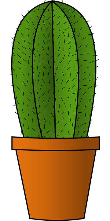 cactus clipart single
