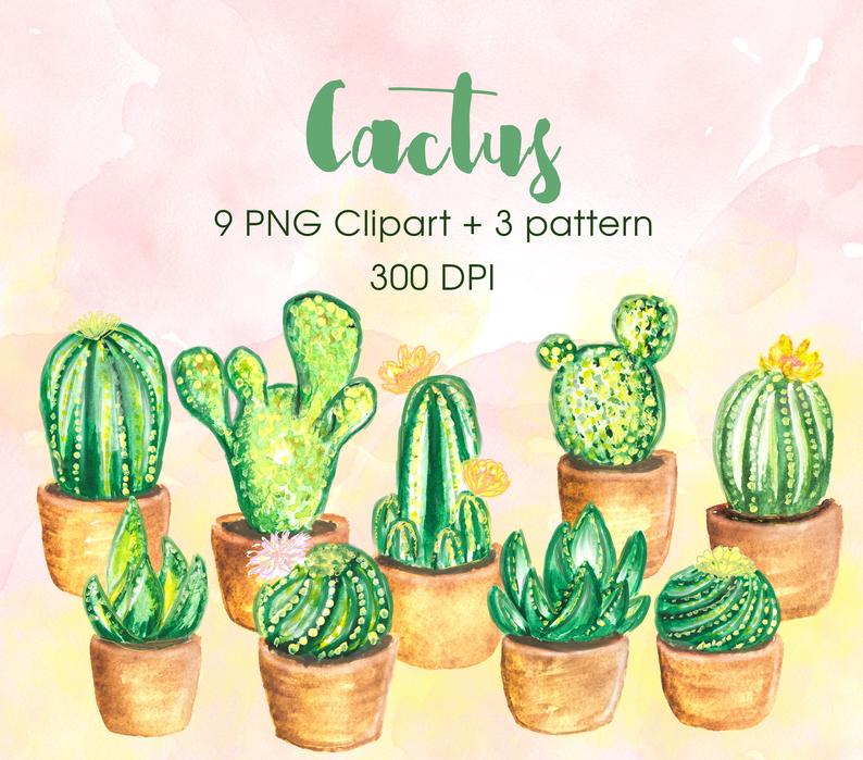 cactus clipart summer