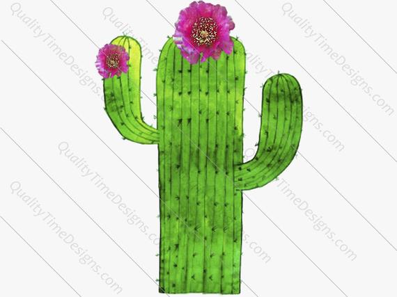 Cactus clipart transparent background. Png images with high