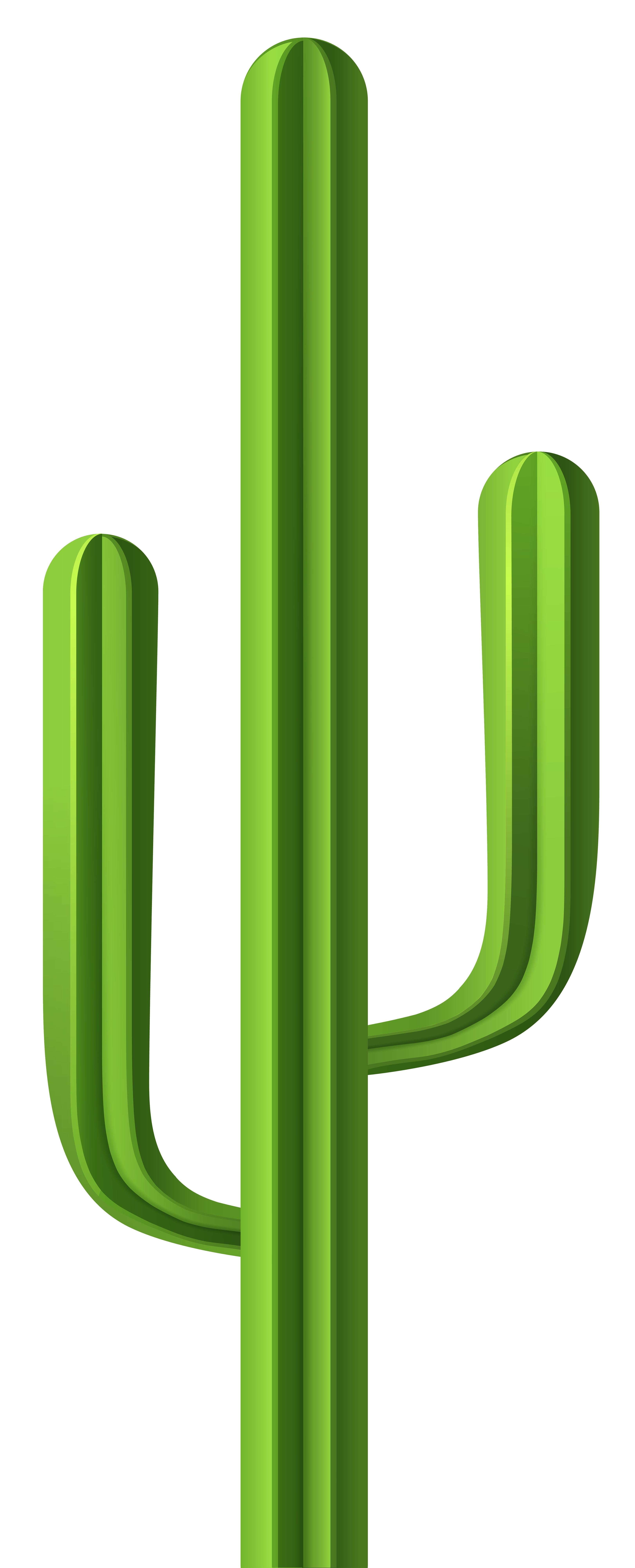 Png clip art image. Clipart tree cactus