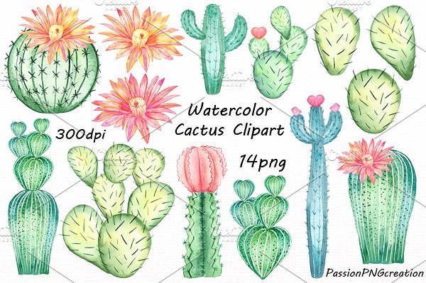 cactus clipart watercolor