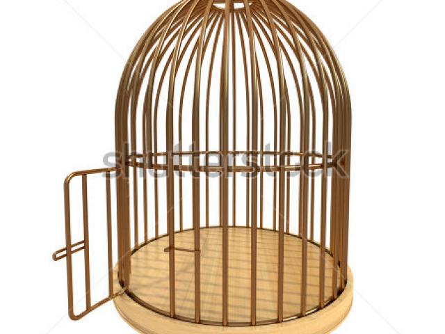 Cage clipart animated, Cage animated Transparent FREE for download on