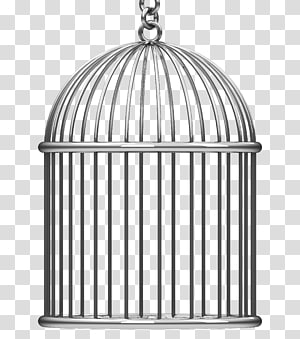 cage clipart clear background