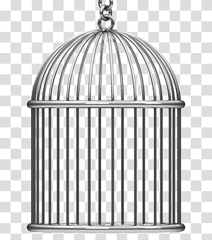 cage clipart clear background cage clear background transparent free for download on webstockreview 2020 cage clipart clear background cage