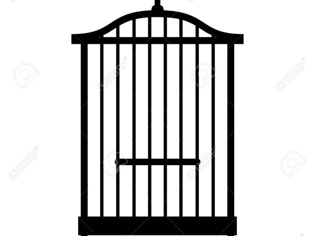 Free birdcage download clip. Cage clipart empty object