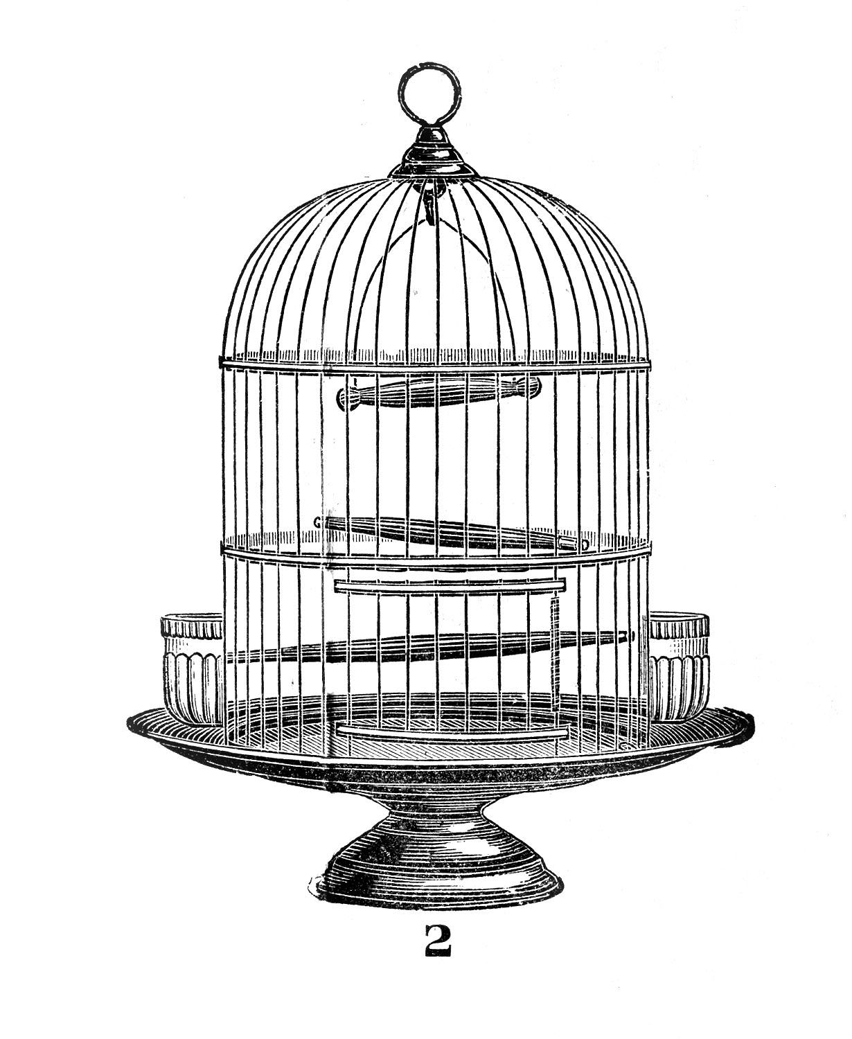  vintage bird clip. Cage clipart fancy