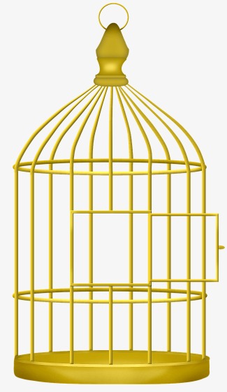 cage clipart golden bird