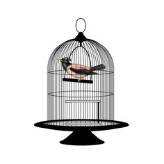 cage clipart hawla