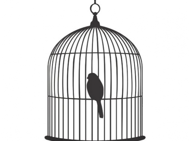 Free download clip art. Cage clipart hawla