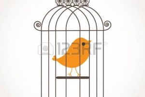 Station . Cage clipart hawla