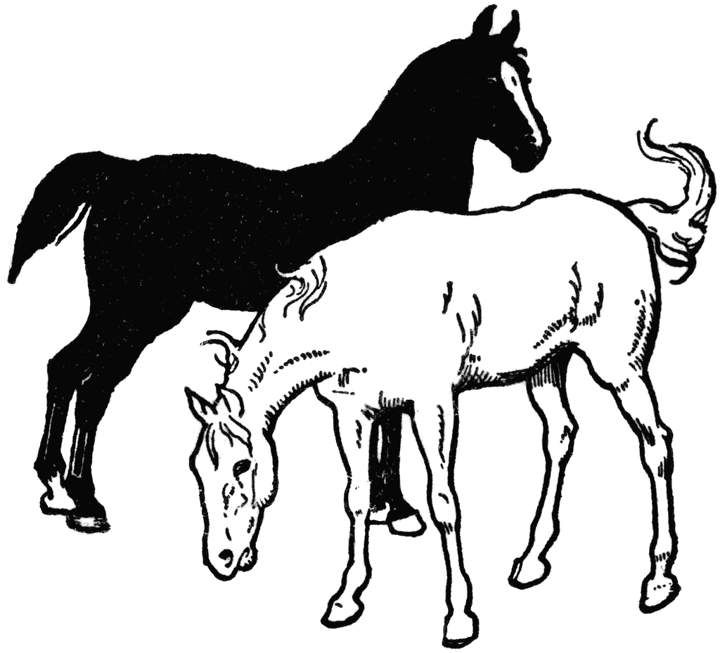 cage clipart horse