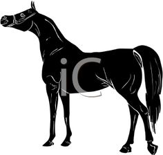 cage clipart horse
