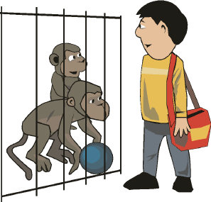 cage clipart monkey cage