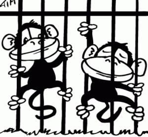 cage clipart monkey cage