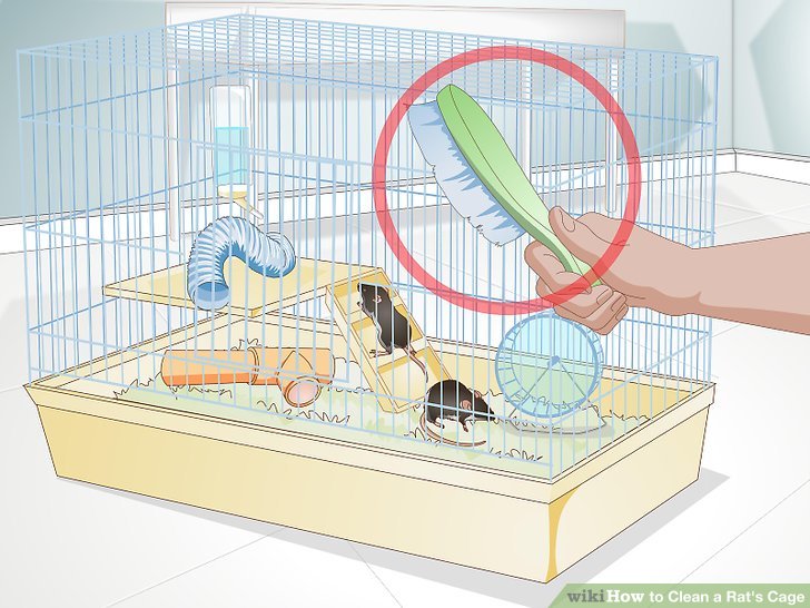 cage clipart mouse cage