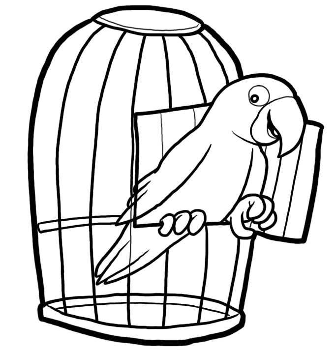 parrot clipart caged