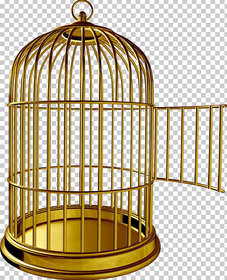 Cage clipart parrot. Birdcage png animals bird