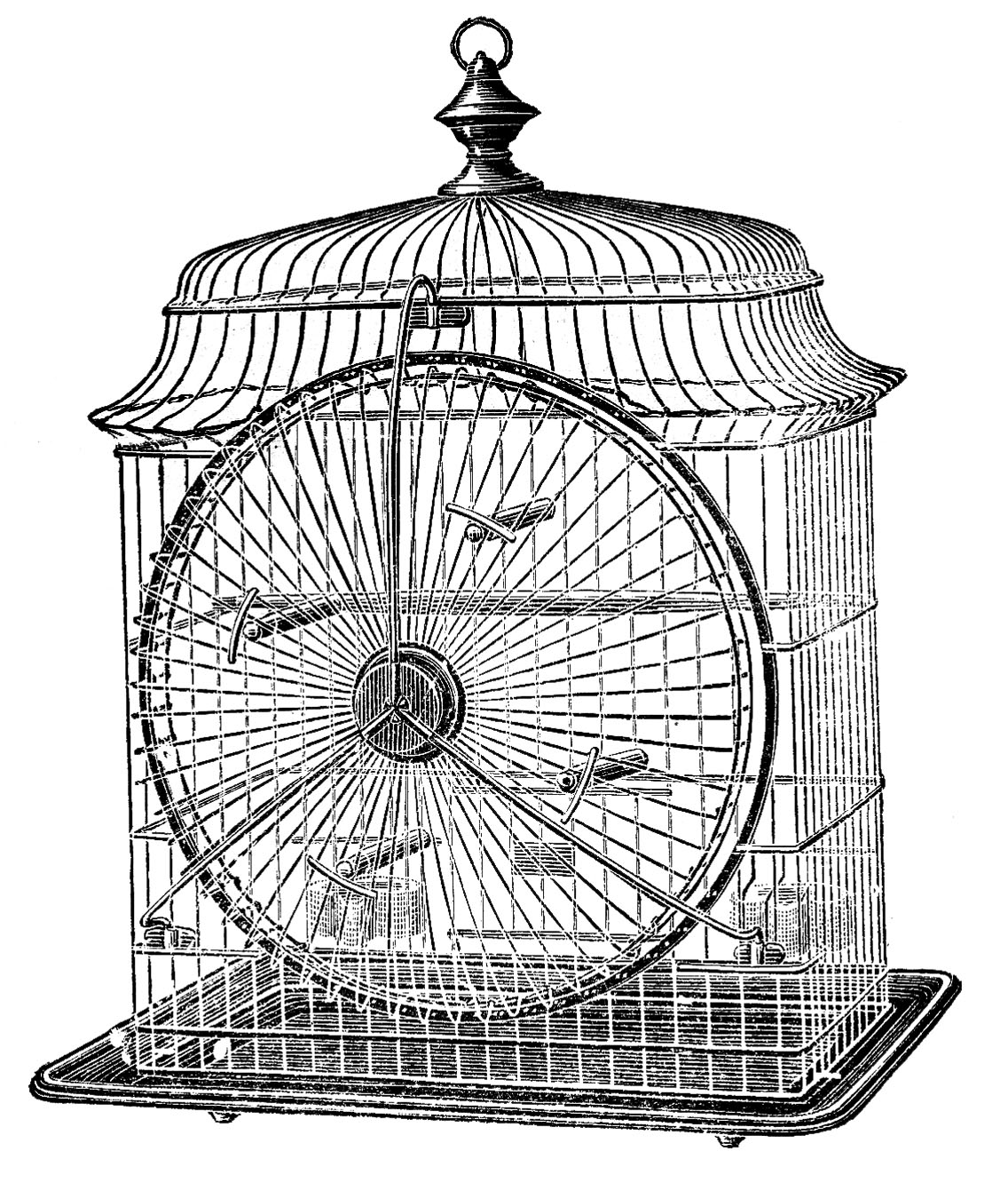 cage clipart victorian