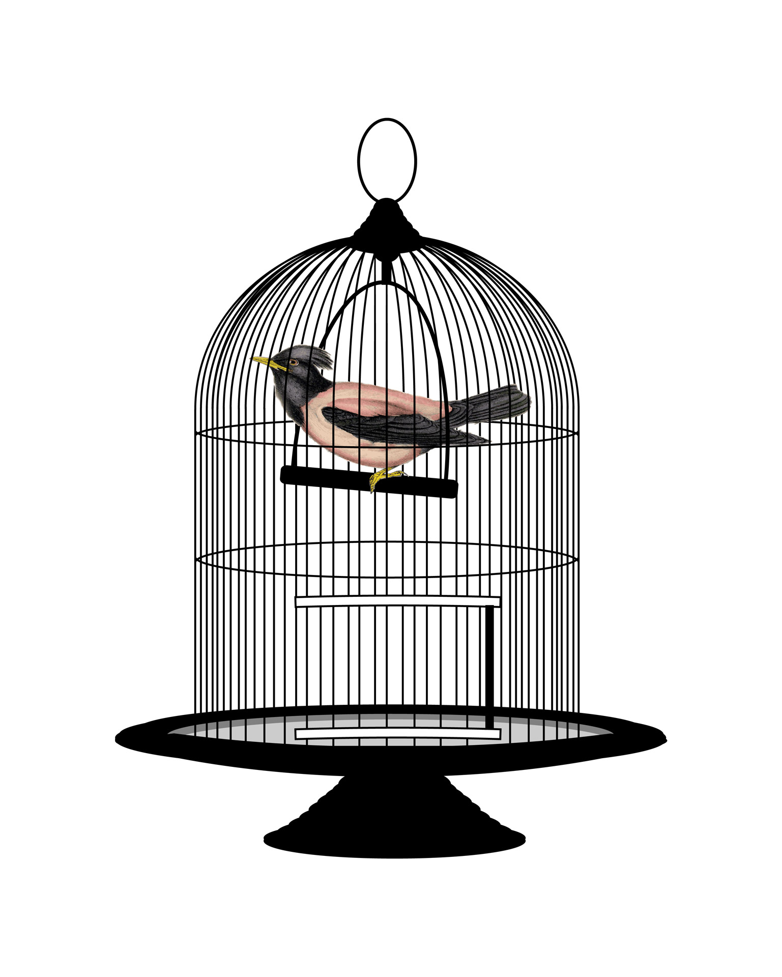 cage clipart vintage