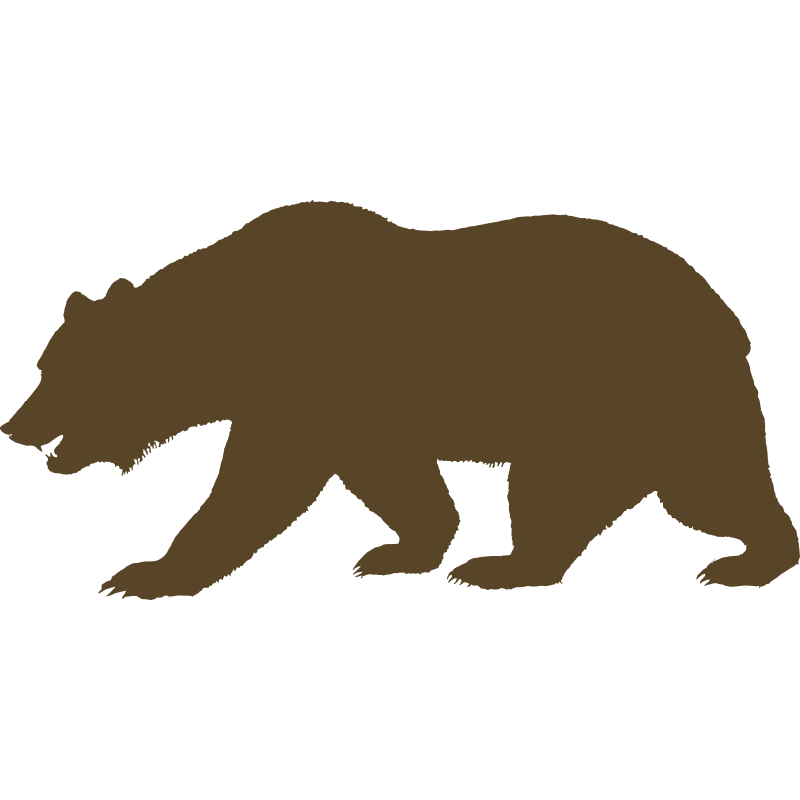 California bear pencil and. Head clipart grizzly