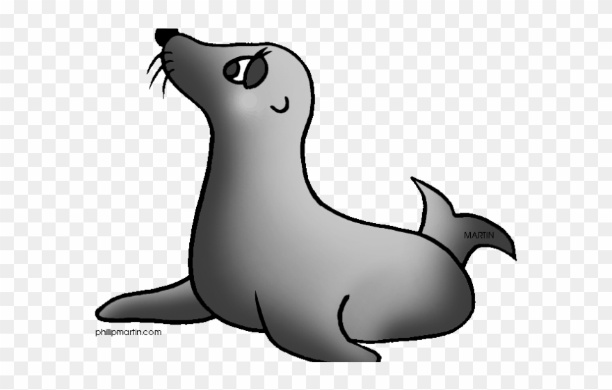 seal clipart simple cartoon