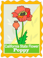 california clipart state california flower