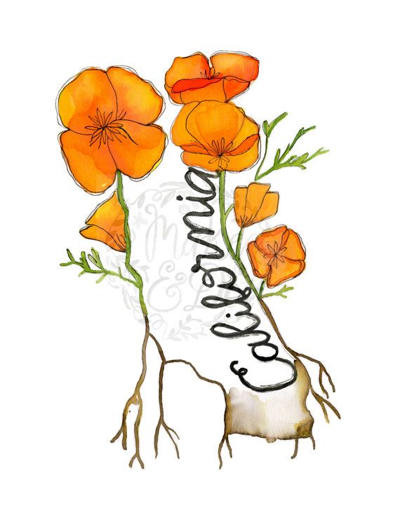 California clipart state california flower. Printable wall art poppy