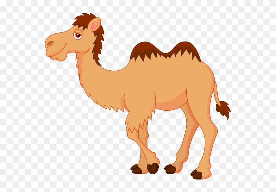 camel clipart